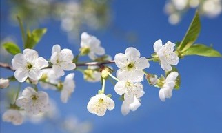 График работы в майские праздники